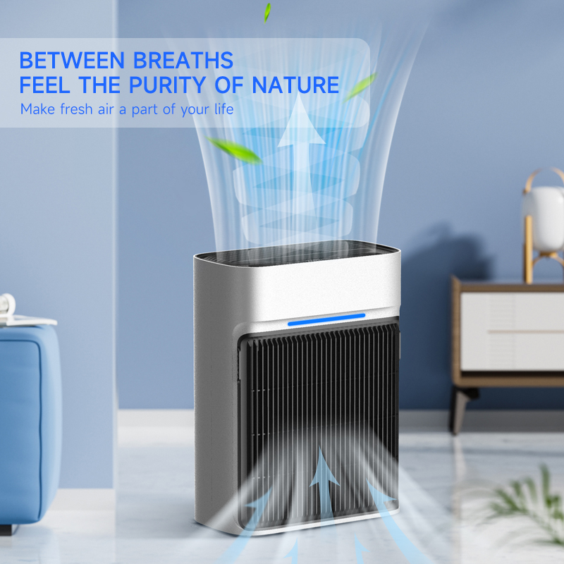 High Efficiency Triple-filter  - Air Purifier Hepa review and price