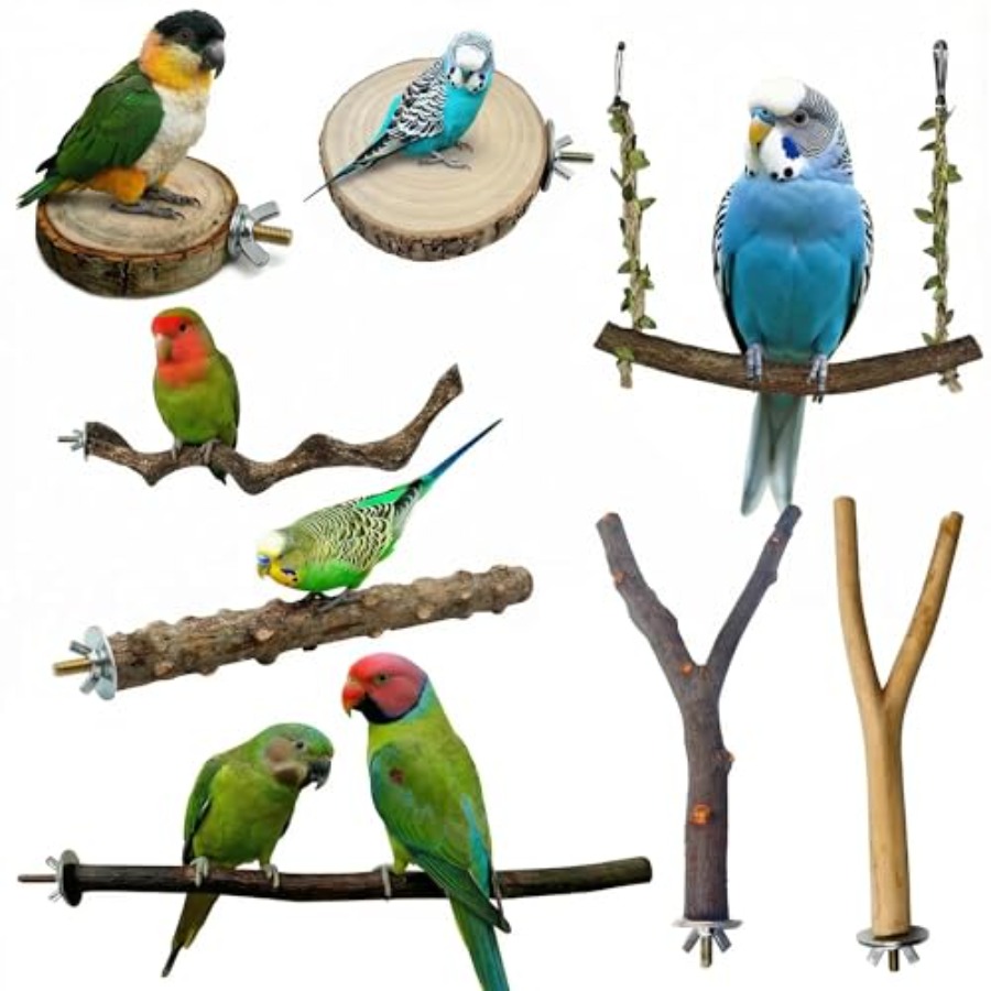 8PCS natural wood bird perches - Health & Wellness Programs review and price