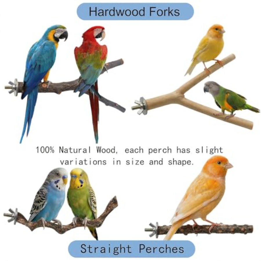 8PCS natural wood bird perches - Health & Wellness Programs review and price