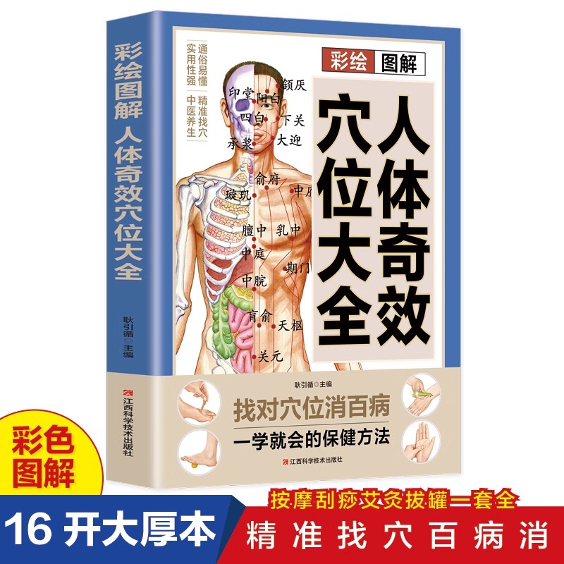 Acupoint Massage & TCM Health  - Health & Wellness Programs review and price